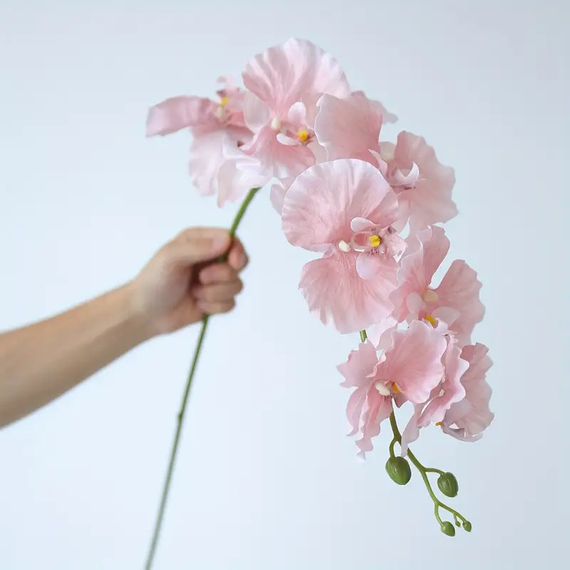 String Of Pearls Plant - Lange tak vlinder orchideeën kunstbloemen huis