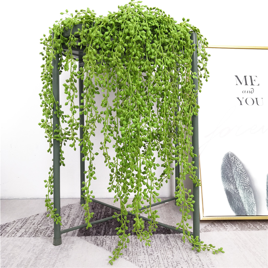 String Of Pearls Plant - Kunstplanten Wijnstokken Muuropknoping Rotan Bladeren Takken