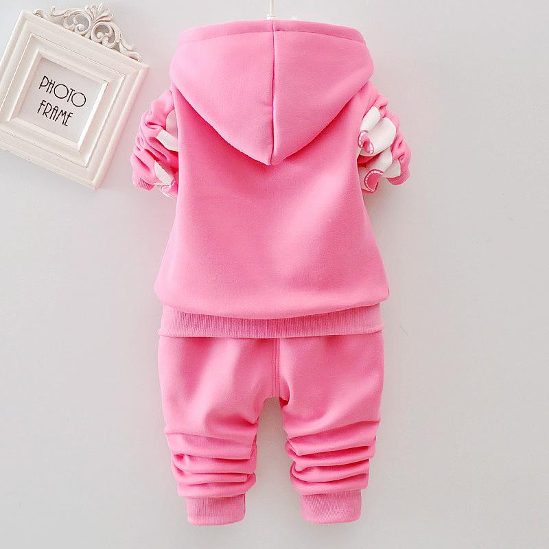 Baby Meisjes Bloem Cartoon Dik - Plant Parent Hoodie recensie en prijs
