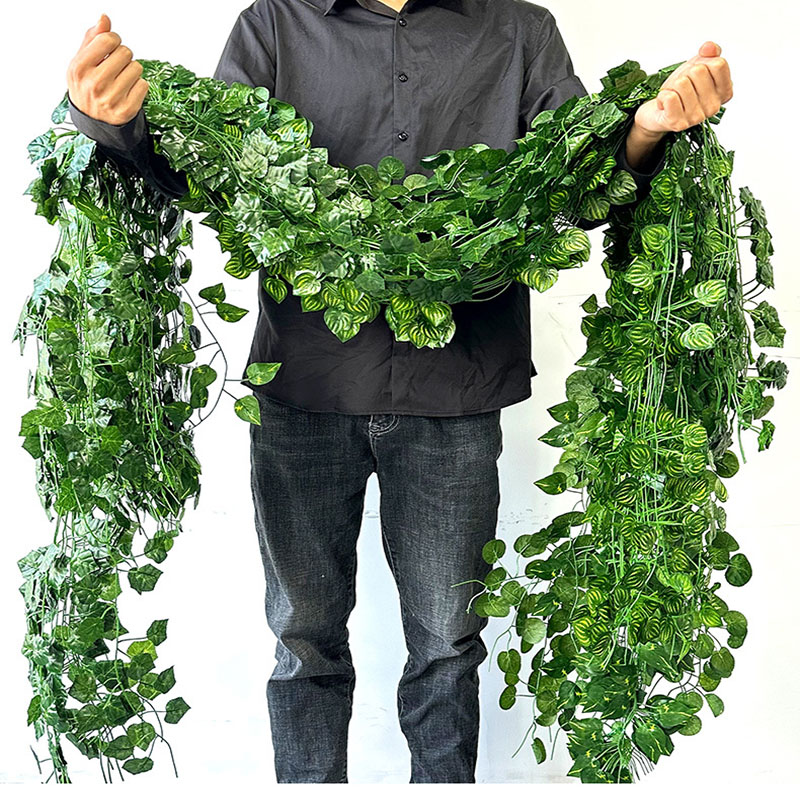 2.1M Groene Klimopblad Opknopi - String Of Pearls Plant recensie en prijs