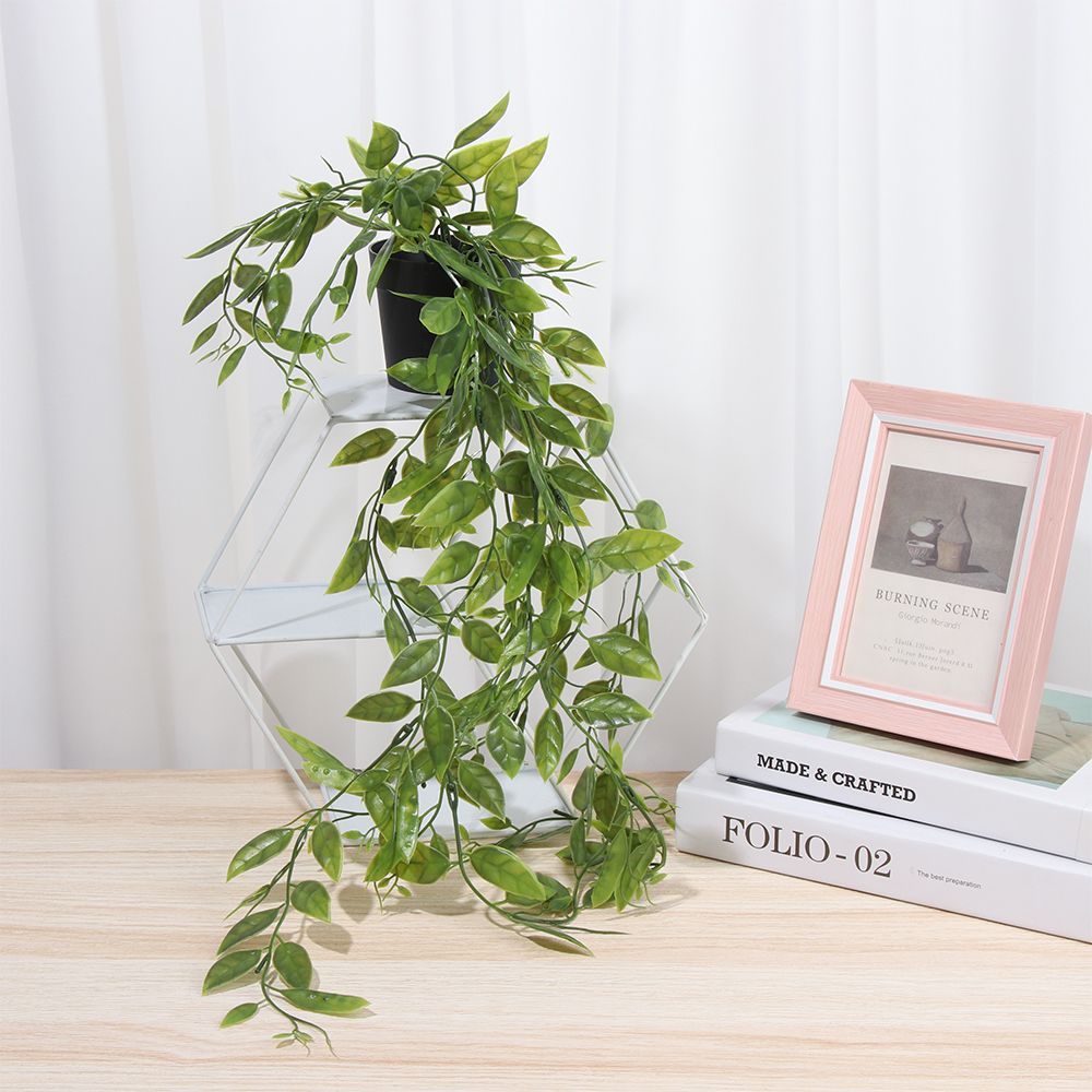 Kunstmatige hangplanten met po - String Of Pearls Plant recensie en prijs