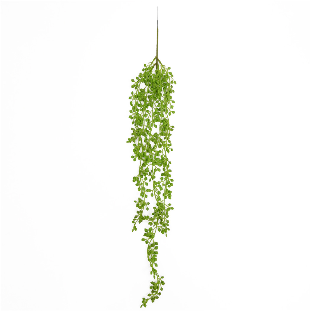 Kunstplanten Wijnstokken Muuro - String Of Pearls Plant recensie en prijs