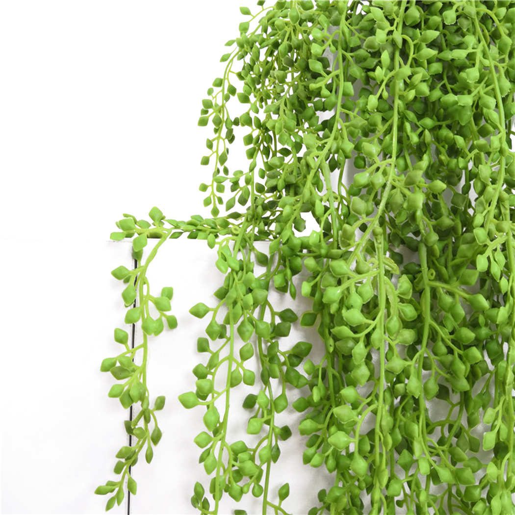 Kunstplanten Wijnstokken Muuro - String Of Pearls Plant recensie en prijs